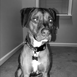 Meet your Posher, Carly