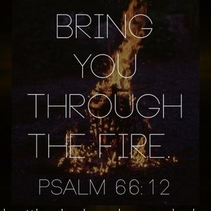 Meet your Posher, Kylie