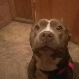 Meet your Posher, Esteban