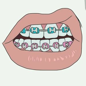 Meet your Posher, Niko