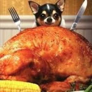 Meet your Posher, Joe