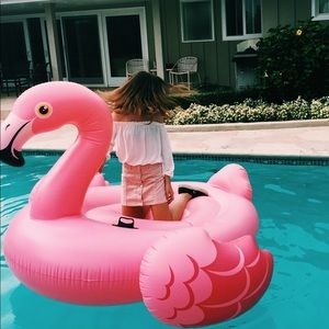 Meet your Posher, Ann