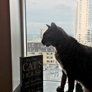 Meet your Posher, Suzanne