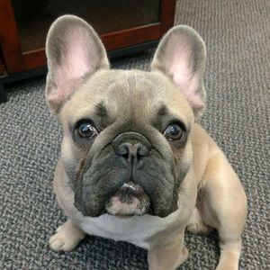 Meet your Posher, Kristi