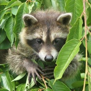 Meet your Posher, Kara