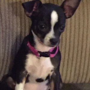 Meet your Posher, Tami