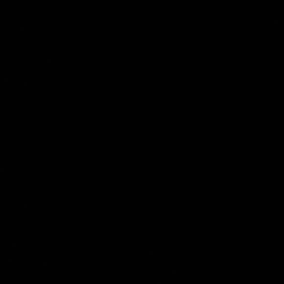 Meet your Posher, Javier - Picture 1 of 1