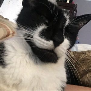 Meet your Posher, Will