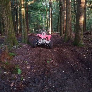 Meet your Posher, Trevor