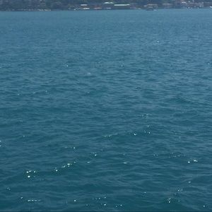 Meet your Posher, Ajla