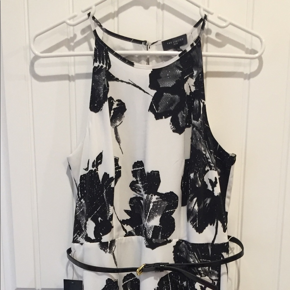 The Limited black/white Dress