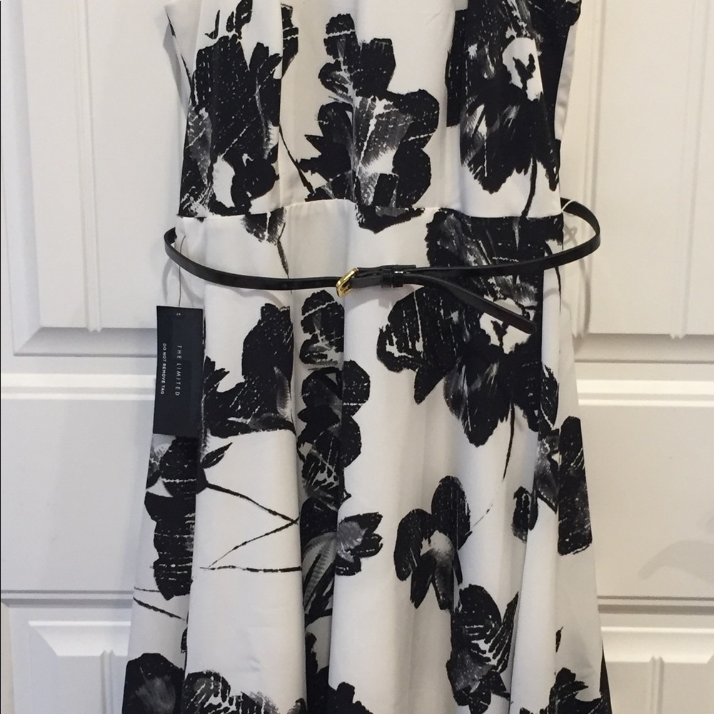 The Limited black/white Dress - Picture 2 of 6