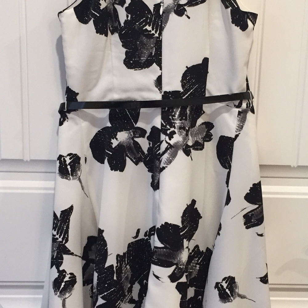 The Limited black/white Dress - Picture 6 of 6