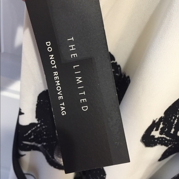 The Limited black/white Dress - Picture 4 of 6