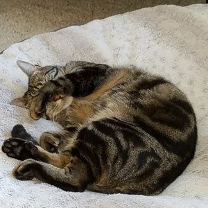 Meet your Posher, Wendy