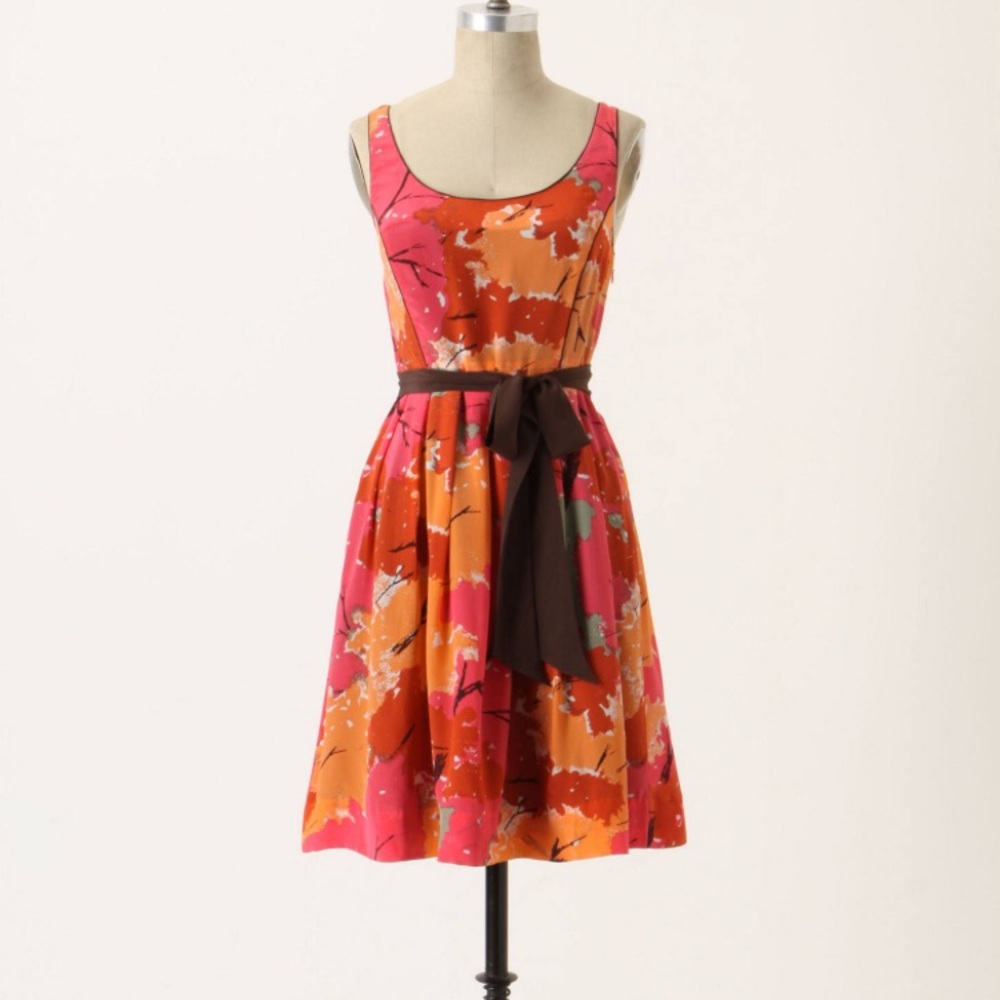 Anthropologie Changing Canopy 100% Silk Dress