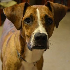 Meet your Posher, Keith