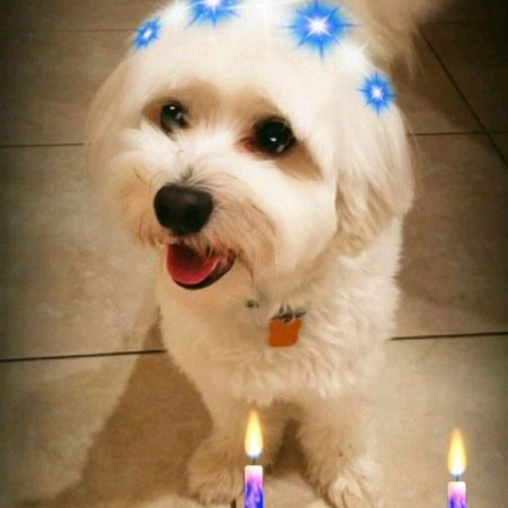 Meet your Posher, Shana