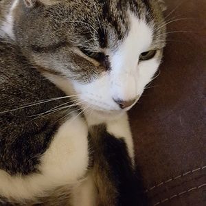 Meet your Posher, Joelle