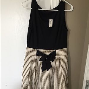 NWT The Limited dress