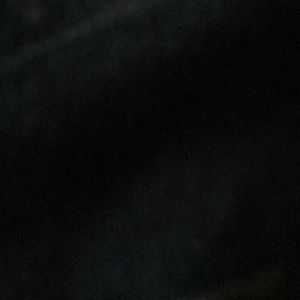 Meet your Posher, Annie