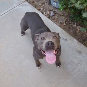 Meet your Posher, Paul