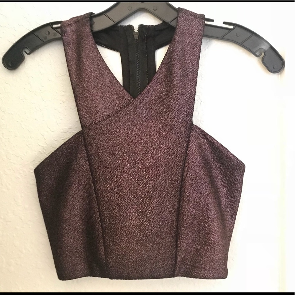 Express Sparkly Crop Top