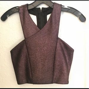 Express Sparkly Crop Top