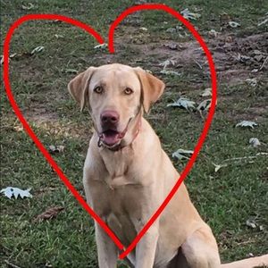 Meet your Posher, Trista