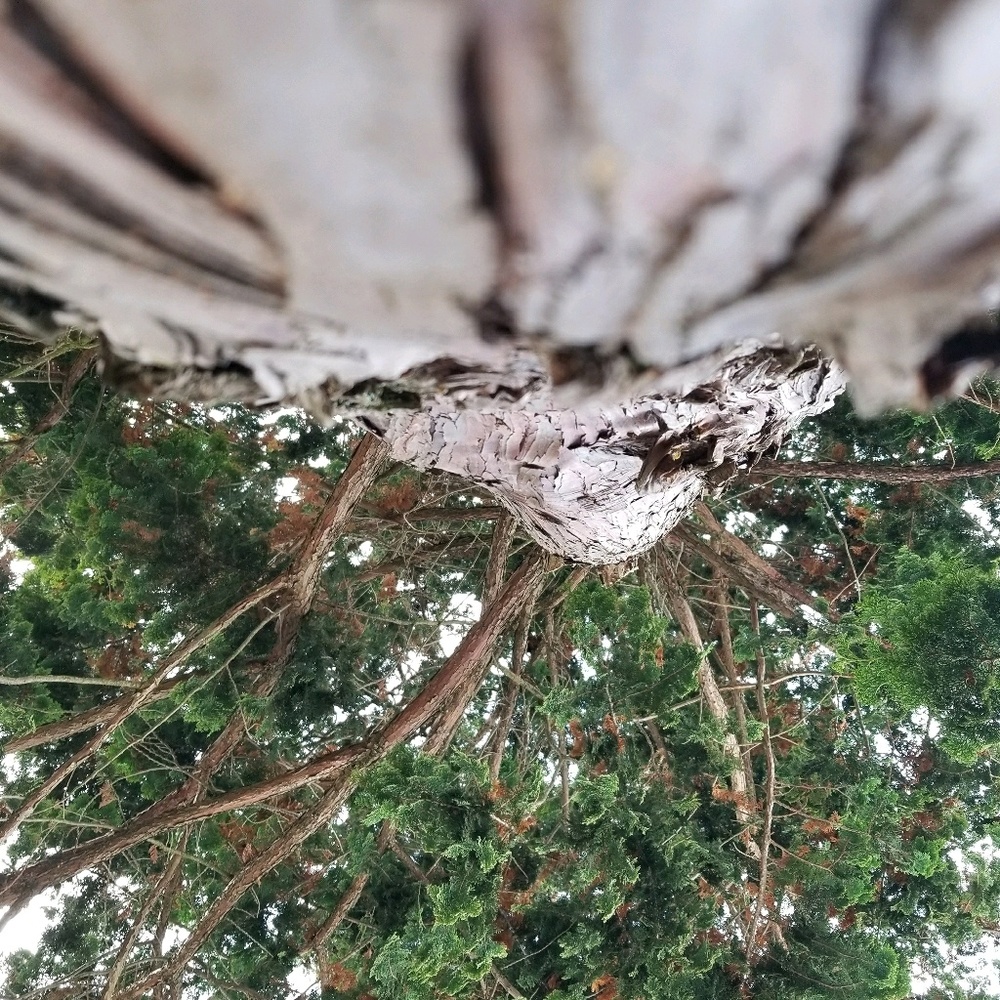 Meet your Posher, Maddison