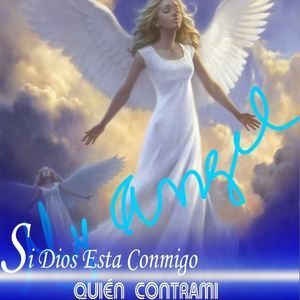 Meet your Posher, Amelia