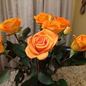 Meet your Posher, Denise