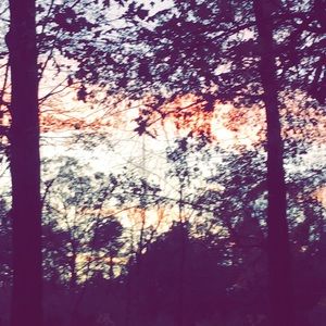 Meet your Posher, Jillian