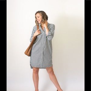 Everlane Cotton Poplin Collarless Shirt Dress 0