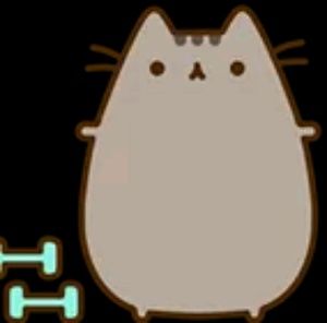 Meet your Posher, Janina