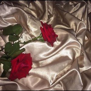 Meet your Posher, Shantel