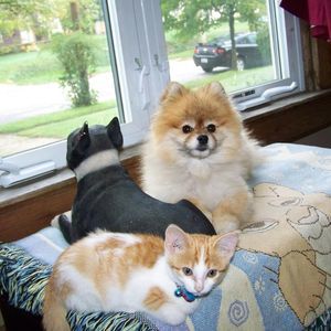 Meet your Posher, Mardelle