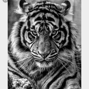 Meet your Posher, Javier