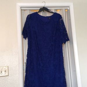 Dress (new) Size 20W Cobalt Blue