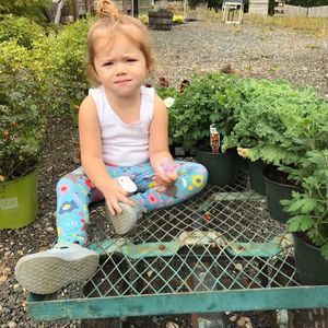 Meet your Posher, Melissa