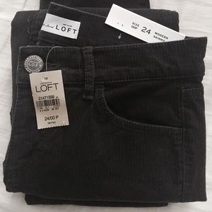 New! Brushed Corduroy skinny pants