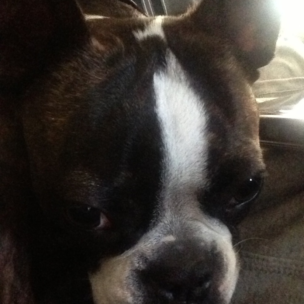 Meet your Posher, Marianne