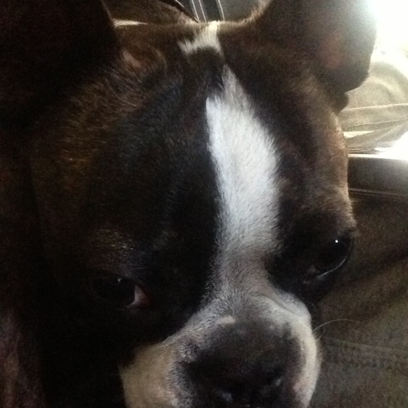 Meet your Posher, Marianne - Picture 1 of 1