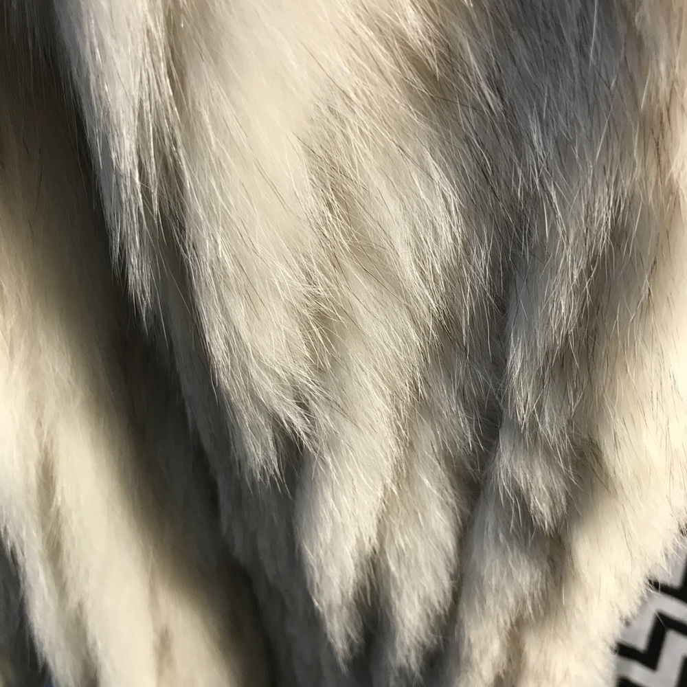 📦FRE SHIP Blue fox jacket - Picture 4 of 8