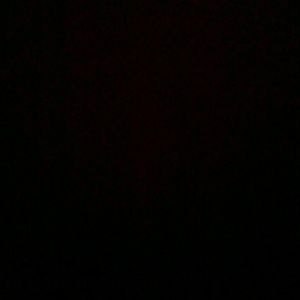 Meet your Posher, Dominic