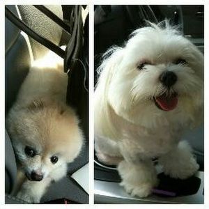 Meet your Posher, Charleen