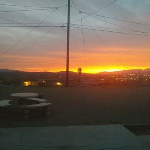 Meet your Posher, Ann