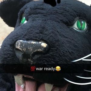 Meet your Posher, Loreine