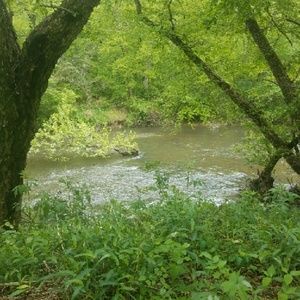 Meet your Posher, Wes