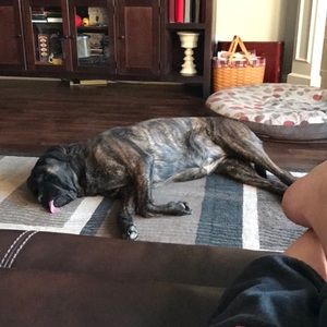 Meet your Posher, Dana